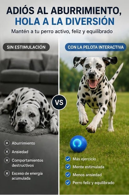 RoVix-Pelota Interactiva