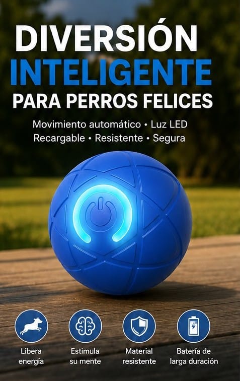 RoVix-Pelota Interactiva