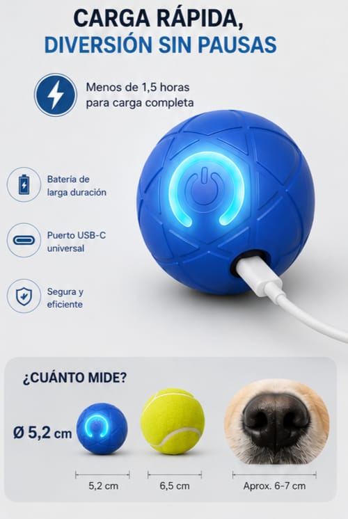 RoVix-Pelota Interactiva