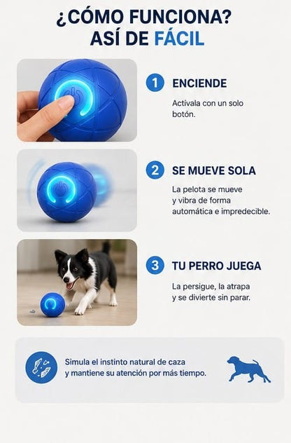 RoVix-Pelota Interactiva